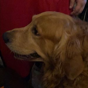 Meet your Posher, Cary